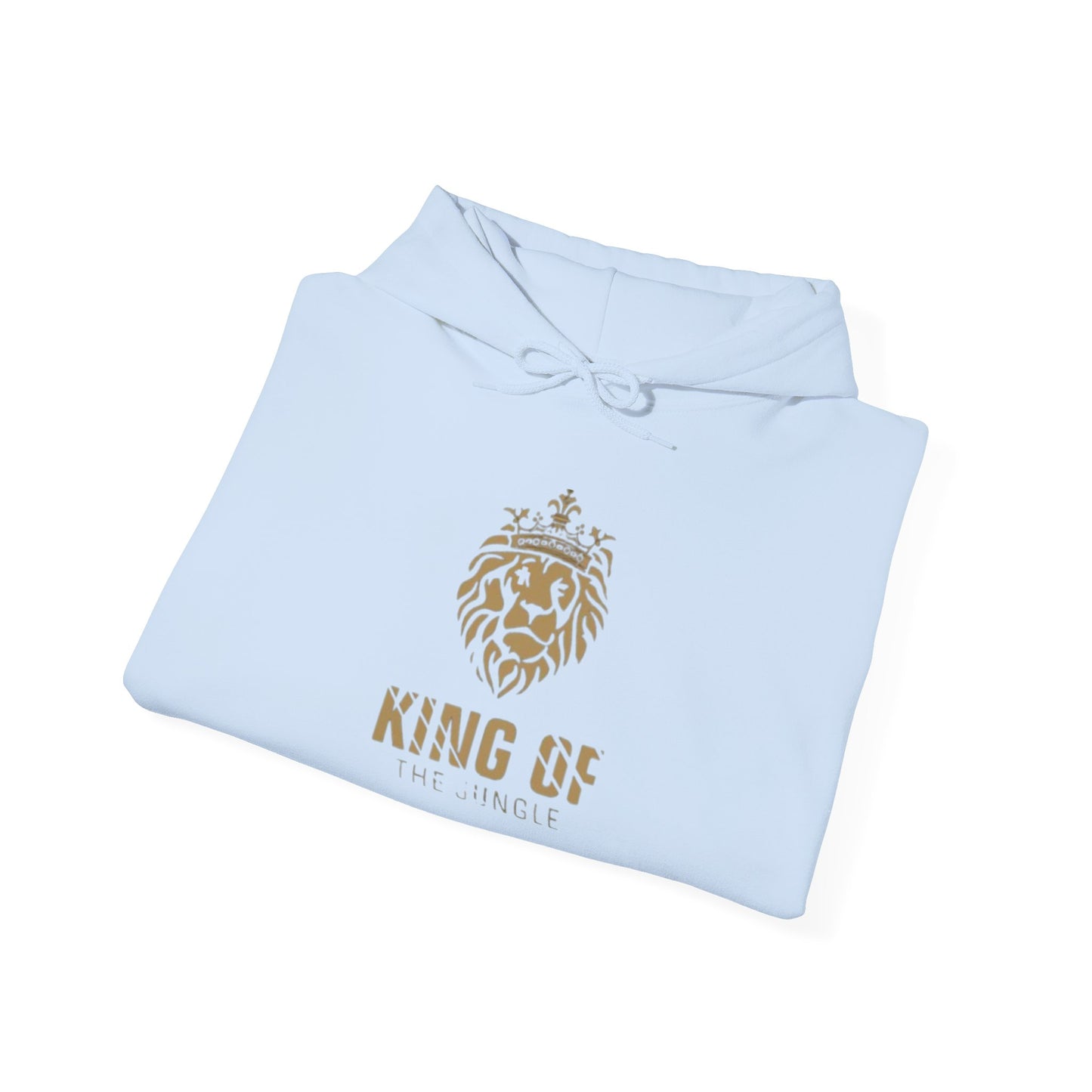 Unisex Heavy Blend™ Hooded Sweatshirt Romans 8:11
